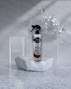 “Air Freshener ‘Black Ice’ " 